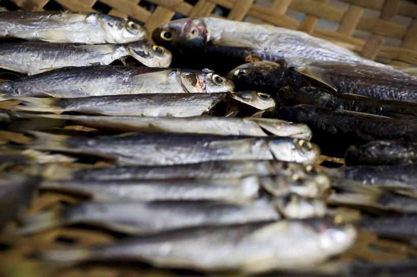 无人,横图,城市,香港,亚洲,摄影,大屿山,彩图,鱼市