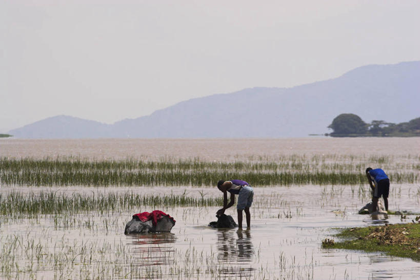 横图,非洲,埃塞俄比亚,摄影,彩图
