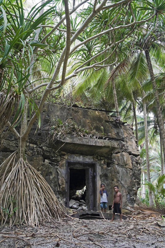 竖图,室外,海洋,森林,棕榈树,马绍尔群岛,密克罗尼西亚,岛,摄影,太平洋,热带气候,大洋洲,北太平洋,珊瑚岛,彩图,雨林