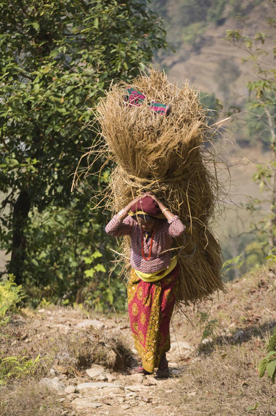 竖图,室外,美景,尼泊尔,亚洲,景观,小路,自然,陡峭,景色,摄影,运送,自然风光,喜马拉雅山脉,博卡拉,彩图,门房
