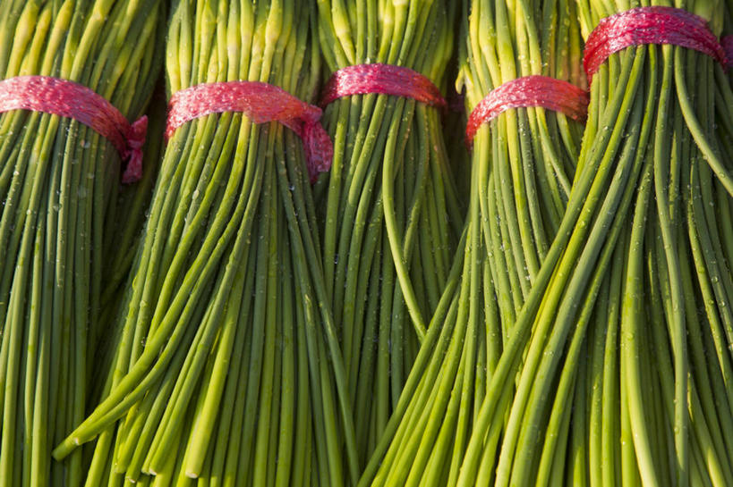 无人,横图,特写,白天,旅游,渔业,洋葱,釜山,韩国,亚洲,食品,市场,饮食,绿色,摄影,玉葱,东亚,庆尚南道,朝鲜半岛,荷兰葱,海产,圆葱,洋葱头,球葱,葱头,彩图,全画面,全框架,全帧,旅行,鱼市,全画幅