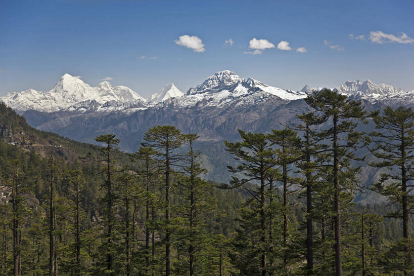 无人,横图,室外,白天,旅游,度假,美景,森林,山脉,雪,不丹,亚洲,景观,娱乐,自然,享受,休闲,景色,放松,摄影,自然风光,喜马拉雅山脉,印度次大陆,巴罗,彩图