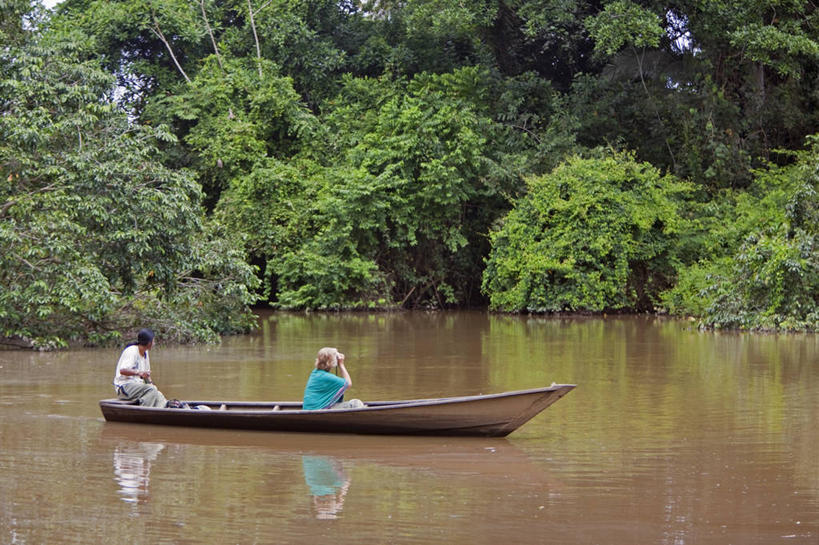 横图,室外,旅游,度假,植物,吊床,亚马逊河,秘鲁,娱乐,花,粉色,红色,享受,休闲,紫姜,南美,放松,摄影,生态,拉丁美洲,彩图,旅行