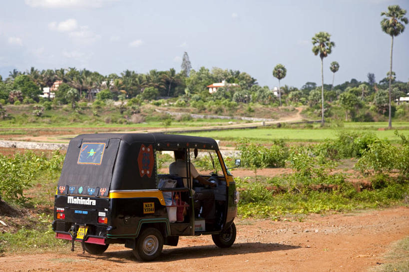 横图,室外,农业,美景,出租车,印度,亚洲,稻田,景观,黄包车,自然,景色,摄影,自然风光,喀拉拉邦,印度次大陆,彩图,机动三轮车