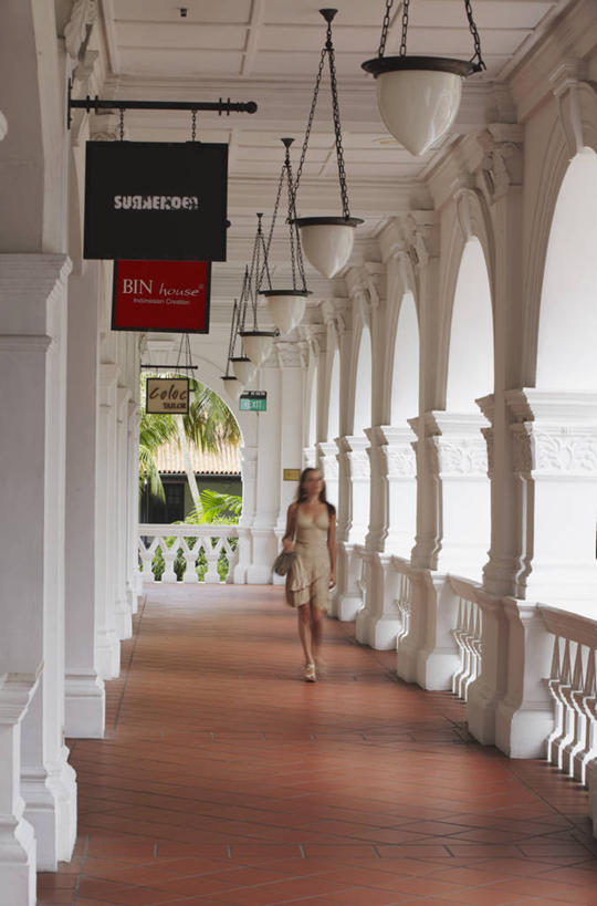 东方人,成年人,一个人,竖图,室外,白天,正面,城市,建筑,新加坡,亚洲,仅一个年轻女性,仅一个女性,仅一个人,走廊,首都,黄种人,历史,摄影,东南亚,高雅,莱佛士酒店,年轻女性,女人,女性,亚洲人,年轻人,步行,彩图