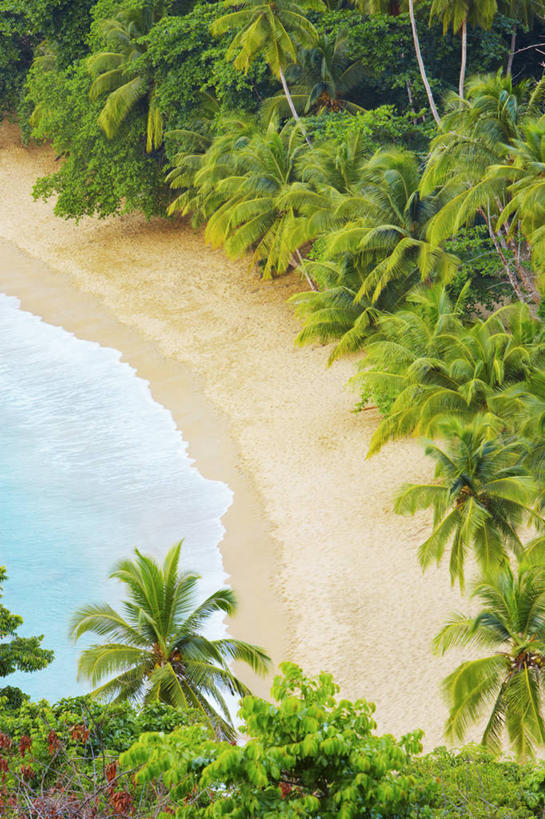 无人,竖图,俯视,室外,白天,旅游,度假,海洋,美景,水,加勒比海,特立尼达和多巴哥,沙子,海岸线,景观,娱乐,自然,享受,休闲,景色,大西洋,放松,摄影,宁静,热带气候,西印度群岛,自然风光,多巴哥岛,海滩,彩图,高角度拍摄