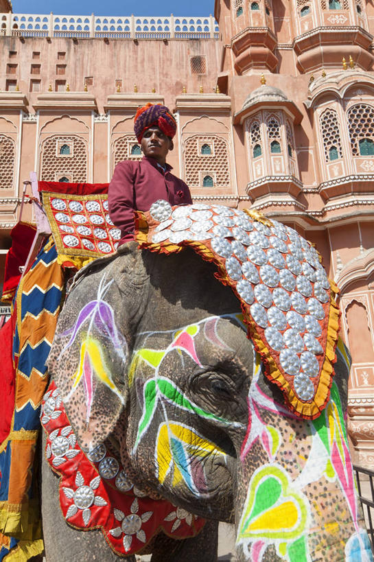 成年人,老年人,一个人,宫殿,竖图,室外,白天,印度,仅一个男性,仅一个人,仅一个中年男性,装饰,头巾,摄影,肖像,印度文化,拉贾斯坦邦,风宫,斋普尔,老年男性,男人,男性,中年男性,象,半身,彩图,传统服装,传统文化