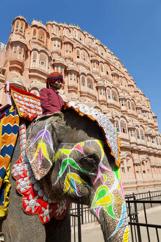 成年人,老年人,一个人,宫殿,竖图,室外,白天,建筑,印度,仅一个男性,仅一个人,仅一个中年男性,装饰,头巾,摄影,肖像,印度文化,拉贾斯坦邦,风宫,斋普尔,老年男性,男人,男性,中年男性,象,半身,彩图,传统服装,传统文化
