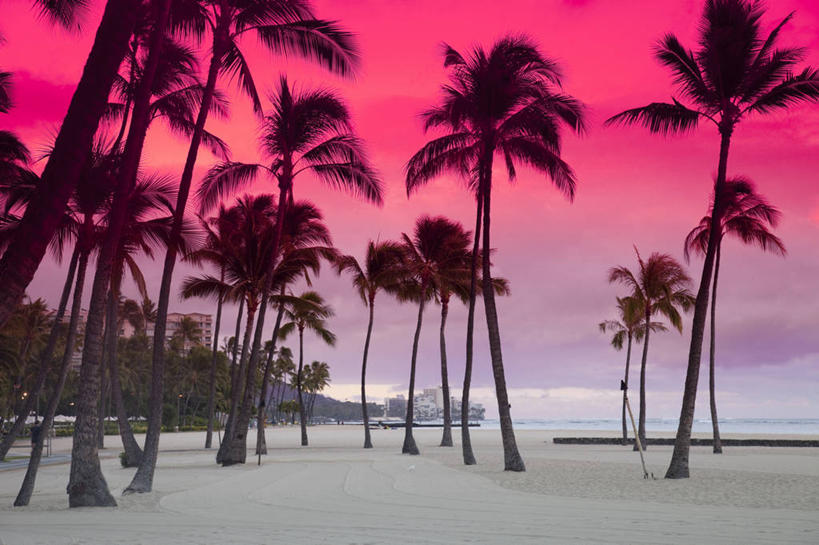 横图,室外,日出,海洋,日落,水,棕榈树,美国,晚霞,霞光,落日,黎明,黄昏,彩霞,摄影,热带气候,剪影,逆光,瓦胡岛,夏威夷群岛,夕照,薄暮,太平洋岛屿,海滩,夕阳,彩图,旅行,傍晚,威基基海滩,斜阳,对焦