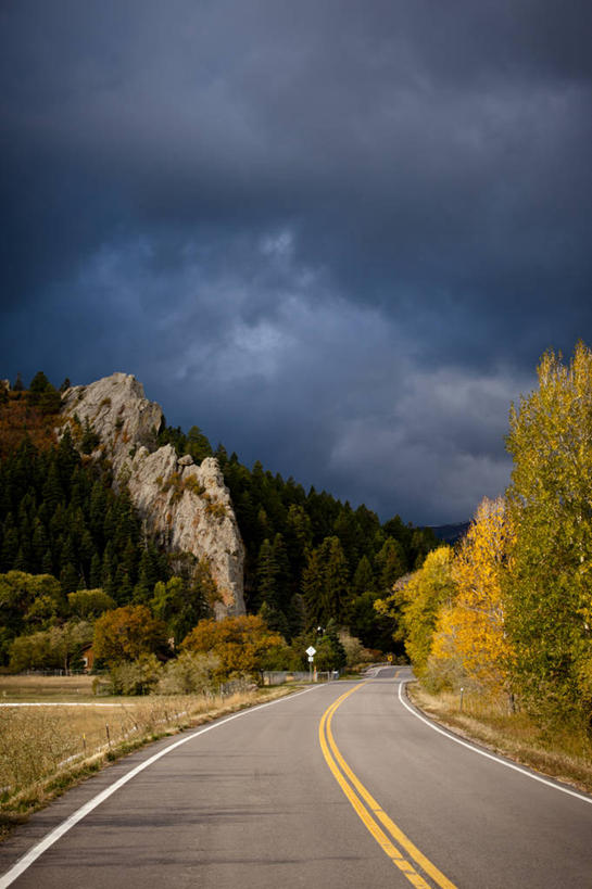 无人,竖图,室外,白天,留白,森林,公路,美国,地形,乌云,树,风景,摄影,白杨树,透视图,改变,白杨,科罗拉多州,大叶杨,秋天,彩图,颤杨,冲天杨,响杨,对焦