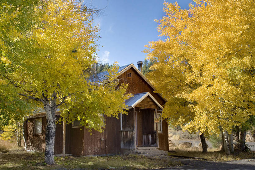 无人,横图,彩色,室外,白天,门,美国,树,摄影,五颜六色,色彩斑斓,白杨树,加利福尼亚,五彩缤纷,白杨,五彩斑斓,大叶杨,五光十色,秋天,彩图,小木屋,颤杨,冲天杨,响杨,对焦,塔基