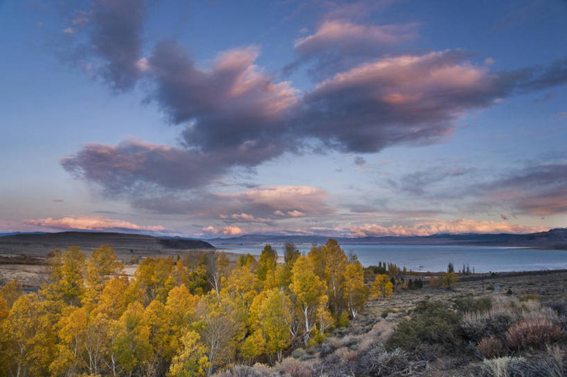 无人,横图,彩色,室外,留白,湖,美景,日落,森林,水,美国,地形,景观,晚霞,霞光,落日,树,风景,自然,黄昏,景色,彩霞,摄影,五颜六色,色彩斑斓,白杨树,北美,北美洲,加利福尼亚,自然风光,美洲,五彩缤纷,白杨,加州,加利福尼亚州,金州,黄金州,北亚美利加洲,亚美利加洲,五彩斑斓,大叶杨,夕照,薄暮,蒙罗湖,五光十色,莫诺县,秋天,夕阳,彩图,傍晚,颤杨,冲天杨,响杨,美利坚合众国,斜阳,对焦