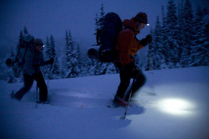 成年人,两个人,公园,横图,室外,旅游,度假,探险,运动,日落,山,雪,华盛顿,美国,娱乐,黄昏,享受,休闲,放松,寒冷,摄影,北美,北美洲,国家公园,决心,美洲,华盛顿州,雷尼尔山国家公园,瑞尼尔山国家公园,常绿之州,常青州,北亚美利加洲,亚美利加洲,冬季运动,滑雪运动,冒险,男人,年轻男性,年轻女性,女人,年轻人,休闲活动,彩图,旅行,皮尔斯县,对焦,忍耐力,越野滑雪