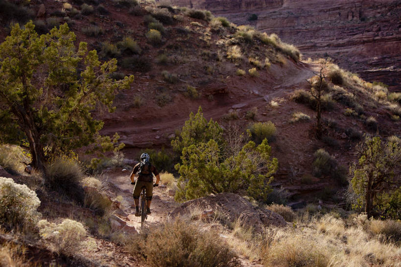 成年人,一个人,横图,室外,白天,美国,仅一个男性,地形,山地车,背面,活力,摄影,活动,灌木,户外活动,犹他,沙岩,冒险,彩图,摩押,忍耐力