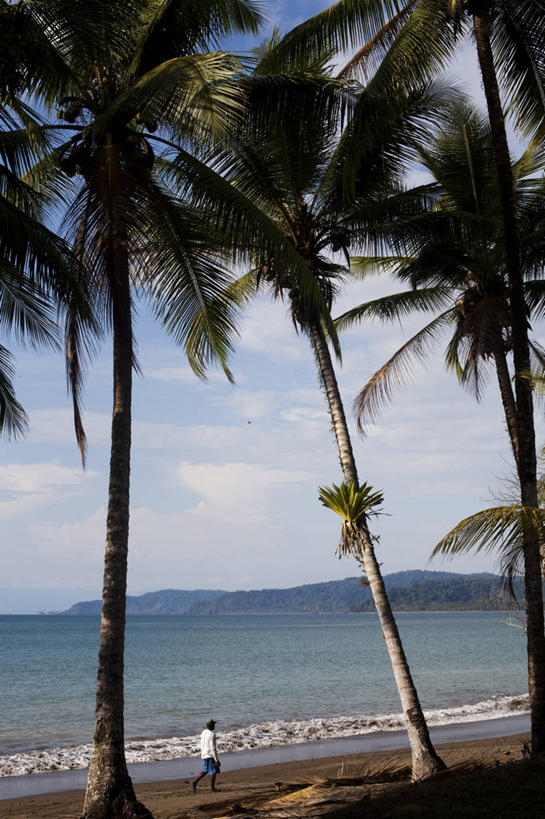 成年人,一个人,竖图,室外,白天,留白,度假,海洋,山脉,水,棕榈树,哥斯达黎加,仅一个男性,海岸线,摄影,北美,北美洲,中美洲,拉丁美洲,美洲,北亚美利加洲,亚美利加洲,哥斯达黎加共和国,男人,海滩,彩图,旅行,彭塔雷纳斯,对焦