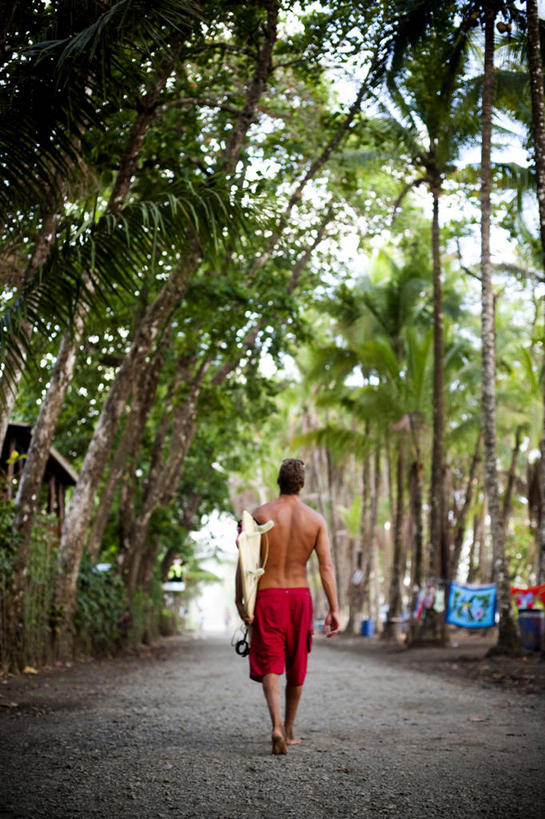 成年人,一个人,竖图,室外,白天,泳装,哥斯达黎加,仅一个男性,仅一个人,短裤,冲浪板,裸露,树,仅一个年轻男性,背面,摄影,北美,北美洲,中美洲,拉丁美洲,运送,美洲,裸,北亚美利加洲,亚美利加洲,哥斯达黎加共和国,男人,男性,年轻男性,年轻人,彩图,彭塔雷纳斯,对焦