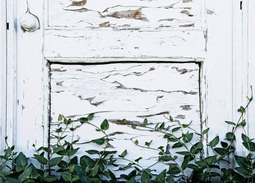 无人,横图,室外,白天,门,叶子,美国,废弃,自然,藤蔓,摄影,生长,报废,废物,剥落,丢弃,放弃,抛弃,内华达州,藤蔓植物,摈弃,破败,里诺,彩图,屏弃,摈斥,摒除,对焦