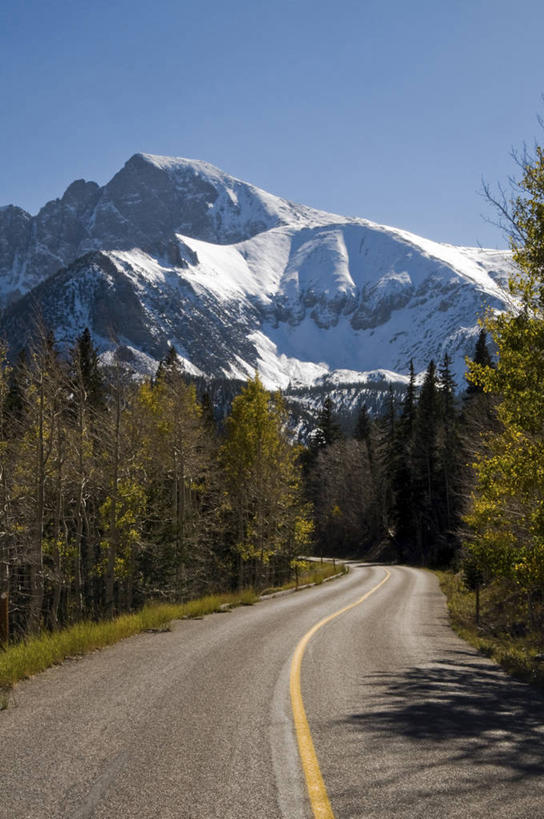 无人,竖图,室外,白天,沙漠,山,雪,雪山,公路,美国,沮丧,地形,宏伟,树,风景,摄影,蜿蜒,宁静,内华达州,万里无云,大盆地国家公园,彩图,林荫大道