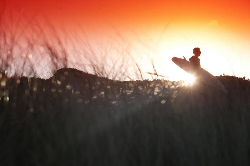 冲浪,成年人,中年人,老年人,一个人,横图,室外,侧面,日出,太阳,仅一个男性,仅一个人,仅一个中年男性,朦胧,模糊,冲浪板,橙色,摄影,宁静,运送,塔斯马尼亚,逆光,滨草,男人,男性,中年男性,休闲活动,步行,彩图