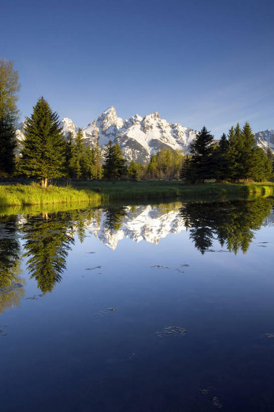 无人,竖图,室外,白天,湖,美景,森林,山脉,水,雪山,日光,美国,反射,地形,景观,山顶,风景,自然,景色,摄影,宁静,自然风光,怀俄明,万里无云,大提顿国家公园,常绿树,自然地理,彩图