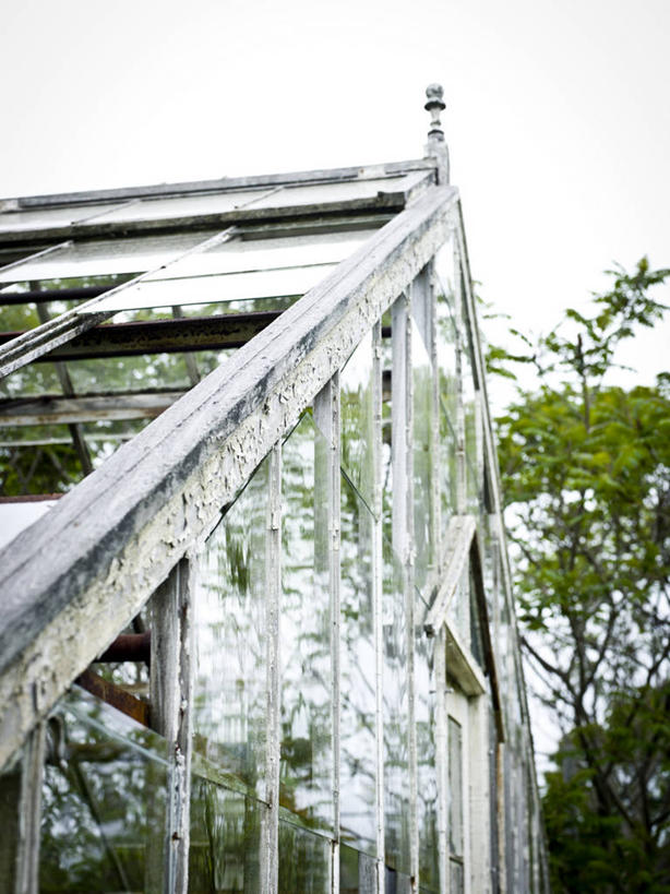 无人,竖图,室外,特写,白天,农业,美景,美国,废弃,堆积,木制,景观,温室,自然,景色,摄影,报废,部分,风化,废物,自然风光,丢弃,放弃,抛弃,缅因州,波特兰,摈弃,风蚀,石化,风蚀地貌,岩石层,岩石,彩图,屏弃,摈斥,摒除