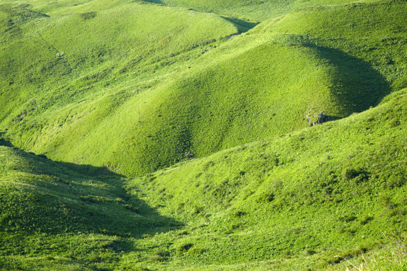 无人,横图,室外,白天,草地,美景,山,哈萨克斯坦,阴影,光,景观,绿色,风景,自然,景色,摄影,生长,宁静,自然风光,阿拉木图,彩图