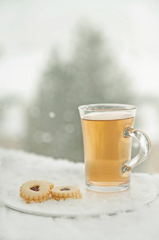 无人,竖图,室外,白天,雪,瑞士,冬天,曲奇,热,小吃,饮食,盘子,马克杯,摄影,沃州,玻璃杯,彩图