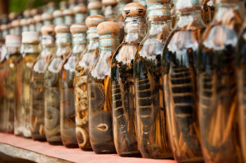 无人,横图,室外,白天,烹饪,老挝,一排,许多,整齐,透明,蛇,料理,食品,很多,菜肴,美食,饮食,食物,排列,瓶子,摄影,佳肴,队列,蝎子,琅勃拉邦,玻璃杯,彩图