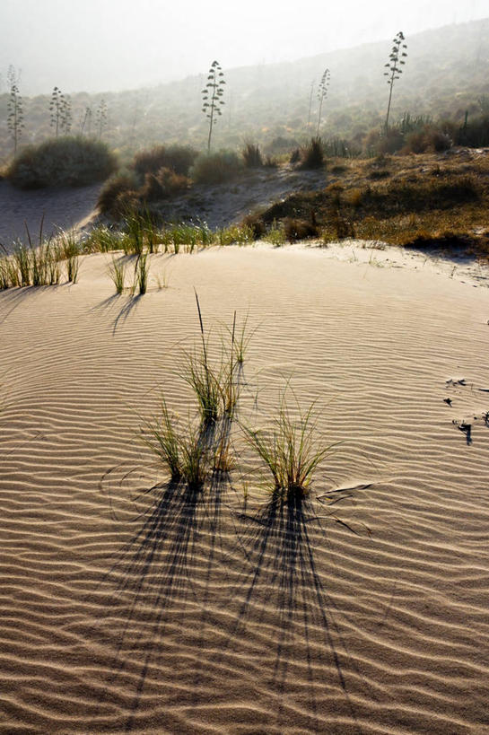 无人,竖图,室外,白天,美景,山,西班牙,沙子,景观,沙丘,自然,景色,摄影,宁静,国家公园,自然风光,阿尔梅里亚,彩图
