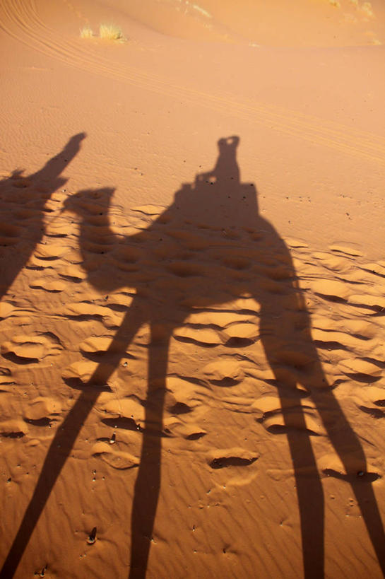 无人,竖图,室外,白天,旅游,摩洛哥,阴影,沙子,沙丘,骆驼,骑车,摄影,彩图,旅行