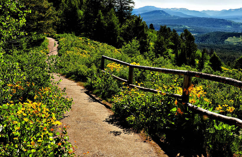 无人,栏杆,横图,室外,白天,美景,山,日光,美国,景观,野花,草,天空,自然,景色,摄影,宁静,自然风光,怀俄明,大提顿国家公园,彩图,单行道