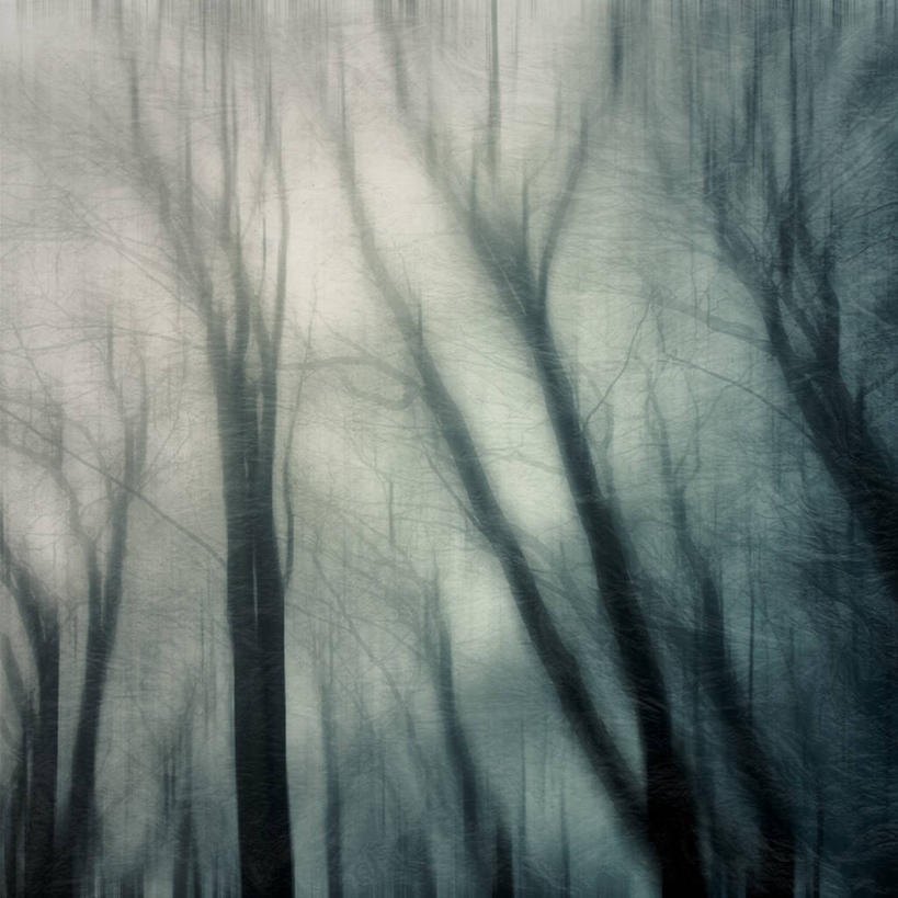 无人,方图,室外,白天,森林,德国,树,天空,自然,摄影,宁静,肌理,伍珀塔尔,彩图