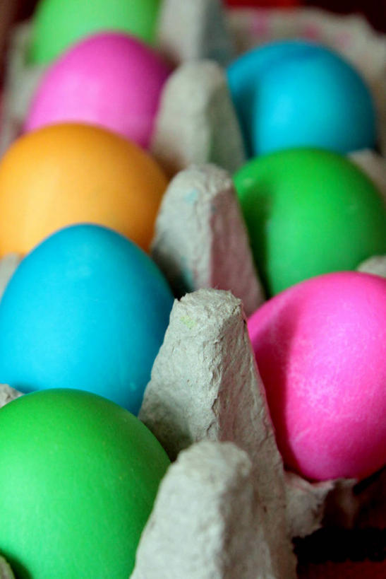 无人,竖图,室内,特写,加拿大,复活节,一排,整齐,排列,摄影,多样,脆弱,队列,选择,鸡蛋盒,复活节彩蛋,彩图