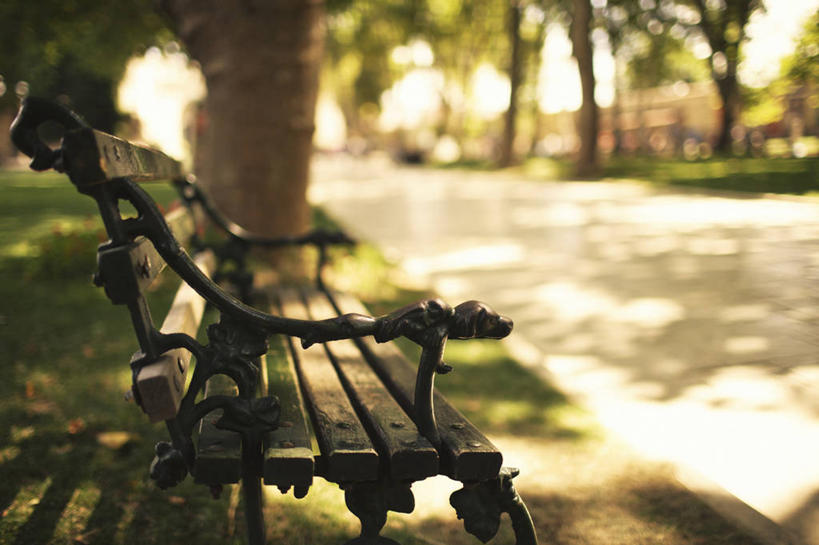 无人,公园,横图,室外,白天,椅子,日光,欧洲,金属,长椅,草,树干,摄影,宁静,伊斯坦布尔,彩图