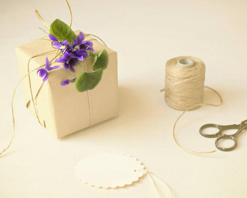 无人,横图,特写,紫罗兰,礼物,叶子,澳大利亚,庆祝,包装,包装纸,剪刀,线绳,摄影,惊奇,创造力,牛皮纸,脆弱,清新,墨尔本,美术工艺,彩图,影棚拍摄