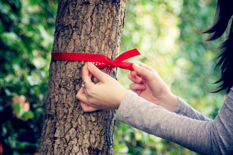 成年人,手,一个人,横图,室外,特写,白天,美国,仅一个女性,捆扎,缎带,拿着,树干,红色,自然,摄影,部分,关爱,加利福尼亚,身份,彩图