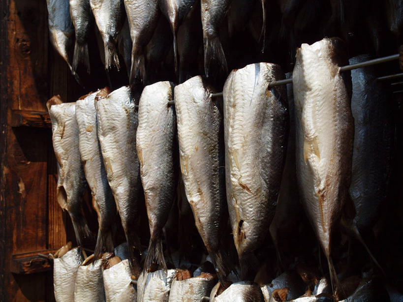 无人,横图,室外,特写,白天,英国,一排,许多,吊挂,悬挂,准备,庆祝,整齐,生食,很多,挂,饮食,排列,绳子,摄影,鲱鱼,队列,清新,海产,彩图,传统文化,传统节日