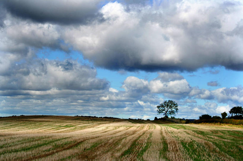 无人,横图,室外,白天,美景,英国,景观,田地,云,树,天空,自然,景色,摄影,生长,宁静,自然风光,秋天,彩图,米杜士堡