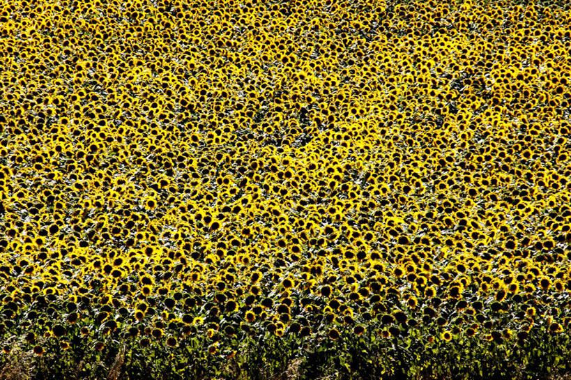横图,奥地利,摄影,下奥地利州