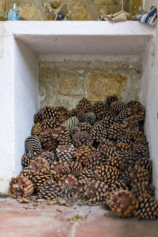 无人,竖图,室外,白天,西班牙,巴塞罗那,许多,准备,丰富,角落,松果,很多,摄影,堆,后院,彩图,巴塞罗那省