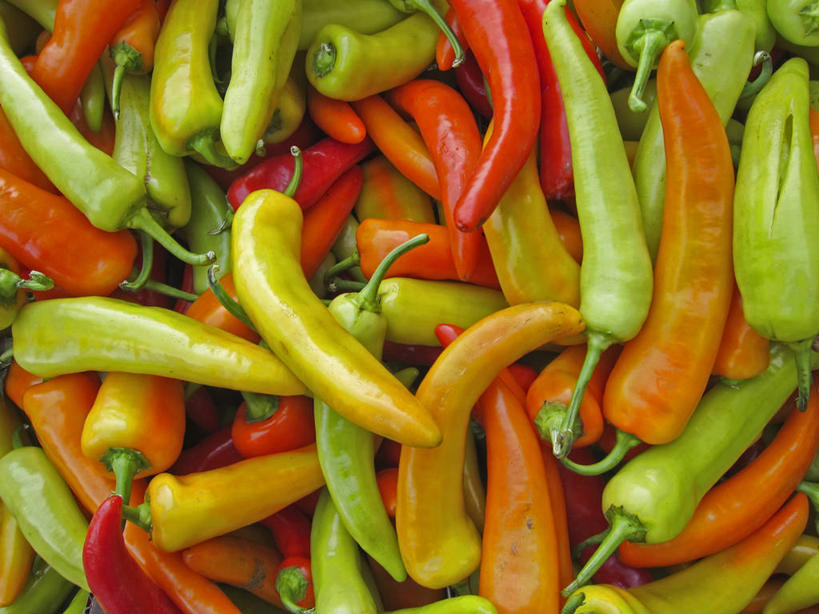 横图,美国,摄影,阿斯托里亚