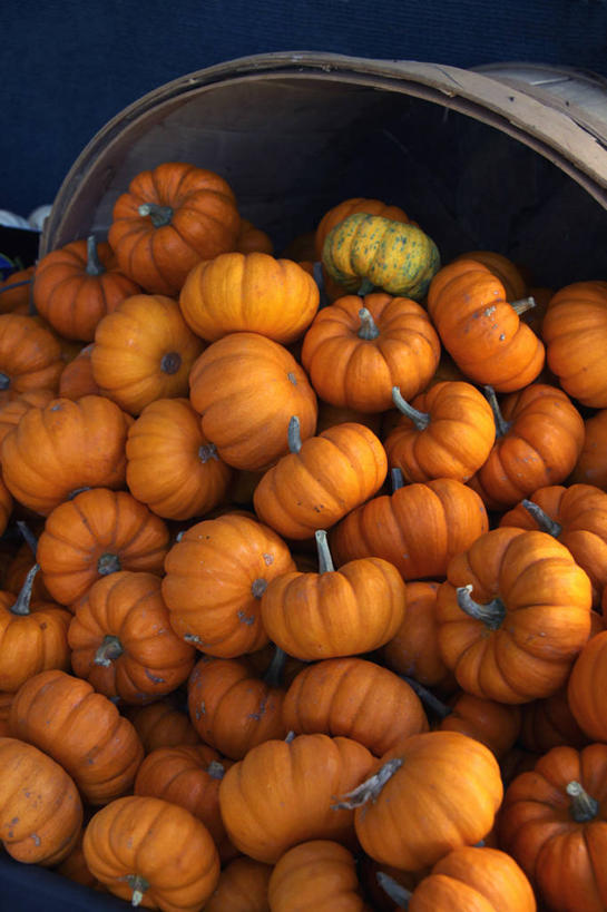 无人,竖图,室外,白天,南瓜,蔬菜,美国,许多,丰富,小的,木制,篮子,很多,摄影,堆,清新,加利福尼亚,彩图