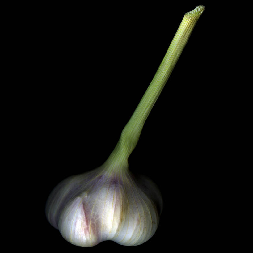 无人,方图,特写,英国,黑色背景,饮食,一个,摄影,单个,清新,健康食物,大蒜,彩图,影棚拍摄