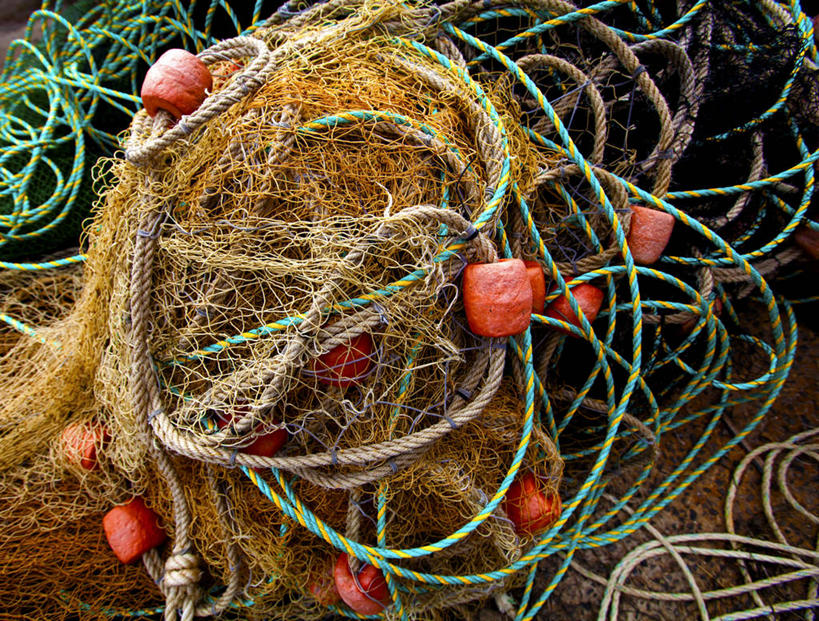 无人,横图,室外,特写,白天,渔业,澳大利亚,环绕,缠绕,网,绳子,工业,摄影,浮标,渔网,纠缠,彩图