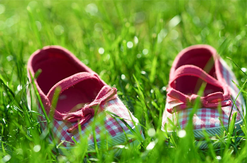 无人,横图,室外,特写,白天,鞋子,英国,小的,草,粉色,摄影,彩图