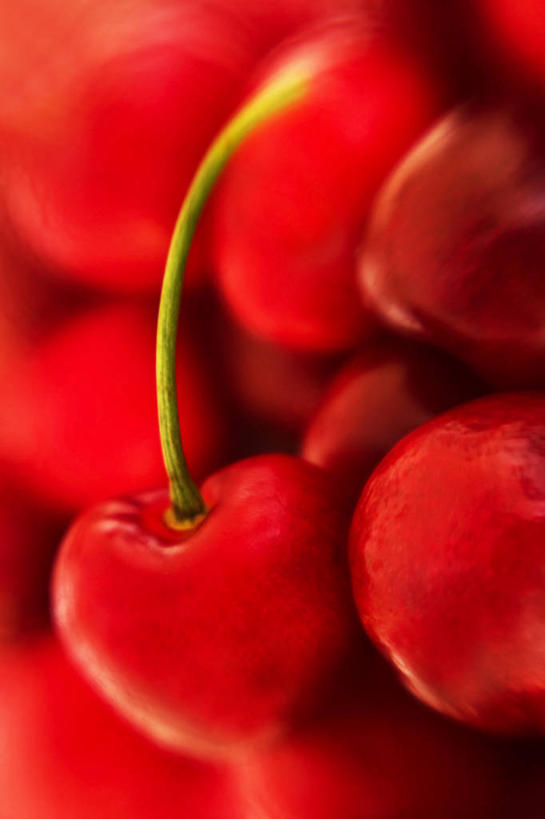 无人,竖图,室内,特写,背景,樱桃,水果,英国,茎,饮食,红色,摄影,清新,彩图,全画面,全框架,全帧,全画幅