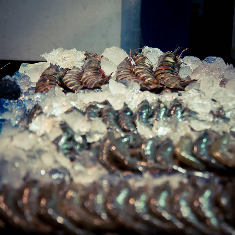 无人,方图,室外,特写,白天,首尔,韩国,许多,虾,市场,首都,很多,饮食,寒冷,零售,摄影,清新,碎冰,海产,彩图