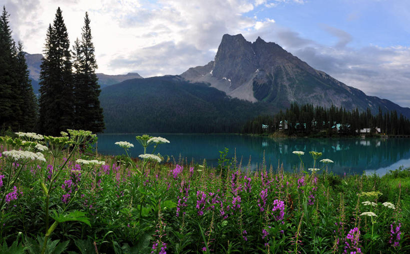 无人,横图,室外,湖,美景,山,加拿大,景观,云,野花,树,天空,自然,景色,摄影,宁静,国家公园,自然风光,幽鹤国家公园,大不列颠哥伦比亚,班夫,彩图,翡翠湖