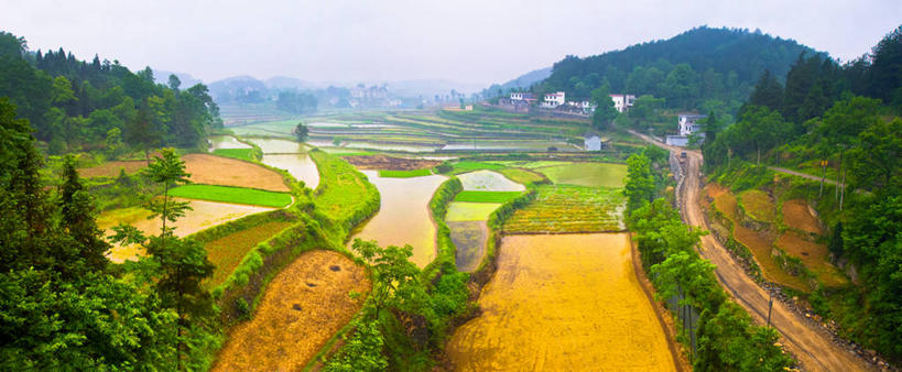 无人,横图,全景,室外,白天,农业,美景,山,水,稻田,地形,景观,田地,树,天空,自然,景色,摄影,生长,宁静,自然风光,湖南省,彩图