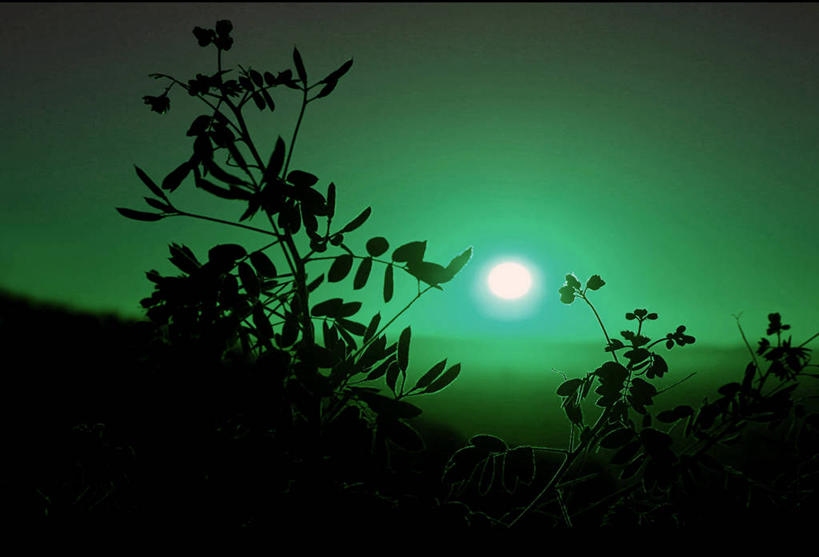 无人,横图,室外,美景,日落,太阳,日光,墨西哥,景观,风景,天空,自然,景色,摄影,宁静,拉丁美洲,自然风光,剪影,索诺拉州,彩图